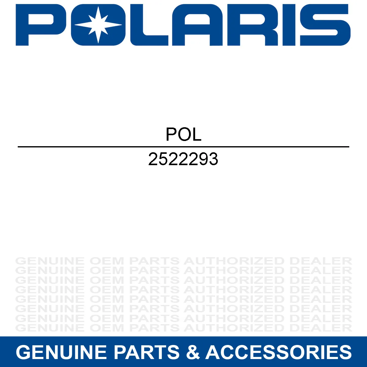 2522293 Polaris ASM-FUEL LINE RETURN PFA PROG