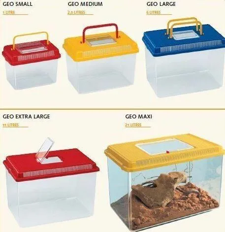 GEO LARGE 6L