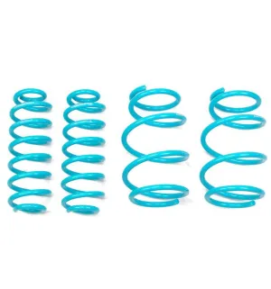 GodSpeed Traction S Lowering Springs Toyota RAV4 (2018-2022) FWD or AWD