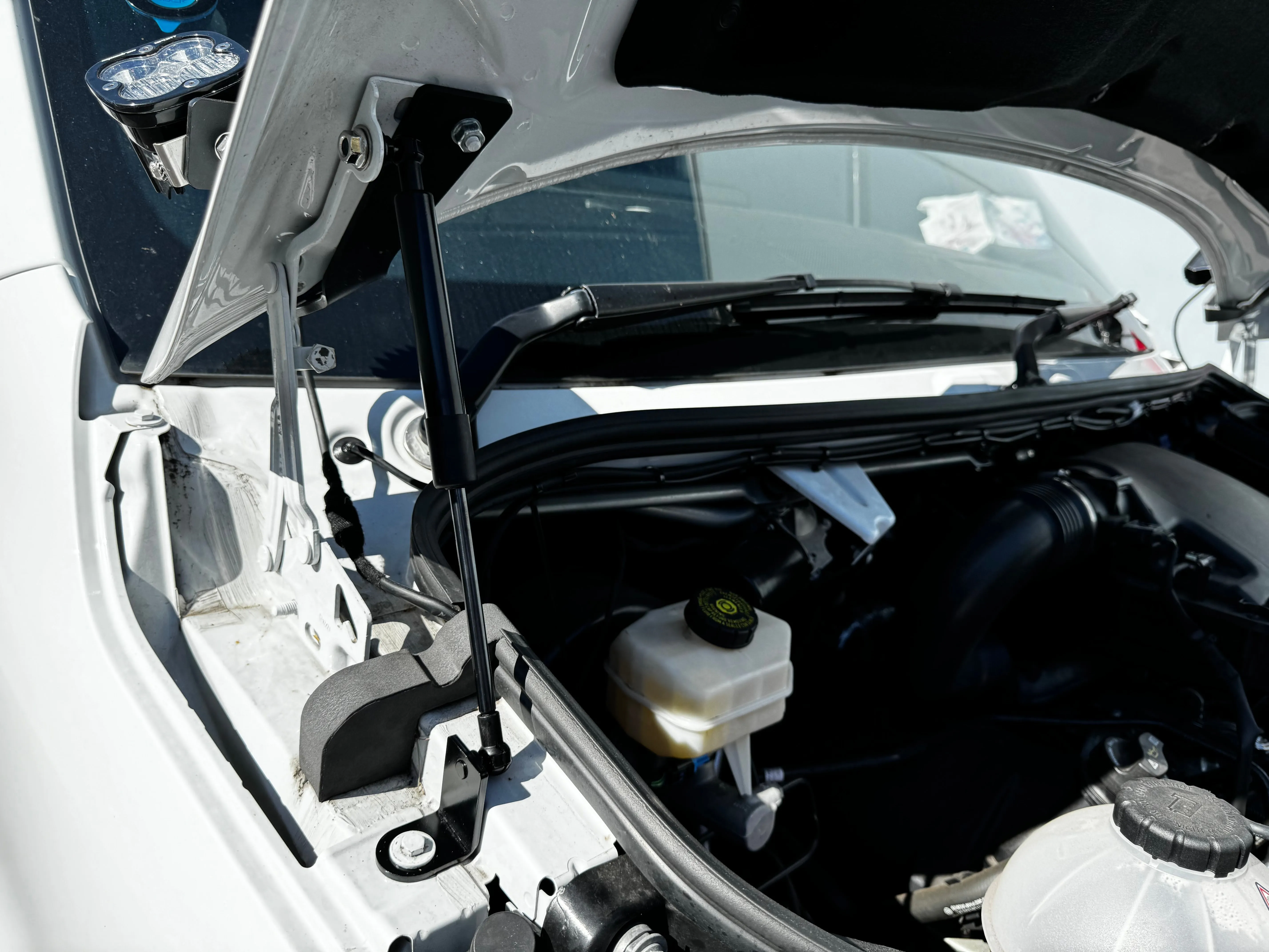 Sprinter Bonnet Gas Struts